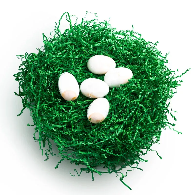 0-75-lb-12-oz-pure-green-easter-grass-crinkle-filler 0.75 LB (12 Oz) Pure Green Easter Grass Crinkle Filler