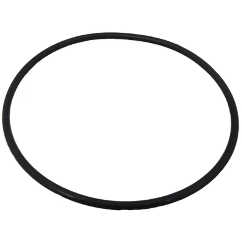 2-king-technology-pool-frog-01-22-1926-cap-o-ring #2 -King Technology Pool Frog 01-22-1926 Cap O’ring
