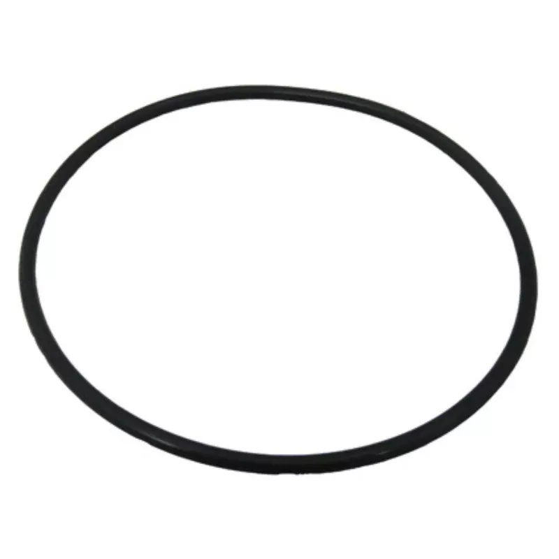 2-king-technology-pool-frog-01-22-9920-cap-o-ring #2 – King Technology Pool Frog 01-22-9920 Cap O’Ring