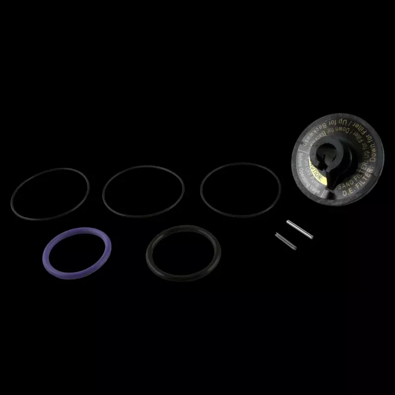 zodiac-r0442100-slide-valve-rebuild-kit Zodiac R0442100 Slide Valve Rebuild Kit