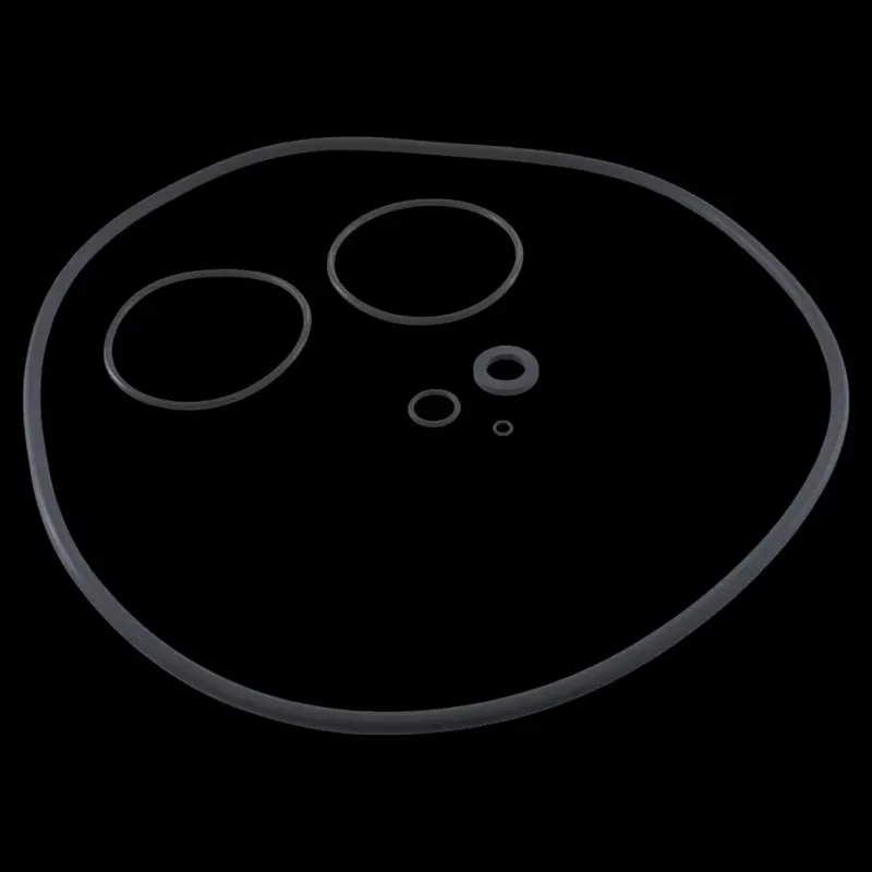 zodiac-r0466300-o-ring-set Zodiac R0466300 O-Ring Set