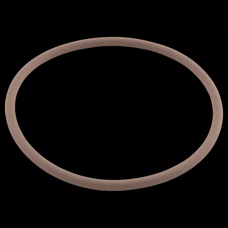 zodiac-r0586300-tri-lobe-o-ring-replacement Zodiac R0586300 Tri-Lobe O-Ring Replacement
